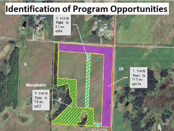 conservation-programsm Program Identification